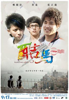 一次性竹筷子生产视频 - 深夜剧情海报