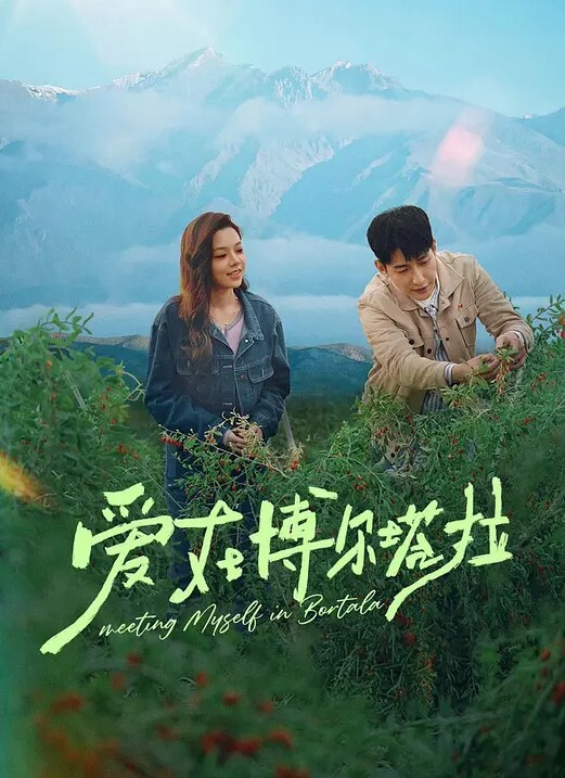 帝祭之芙雨门大玩具 - 深夜剧情海报