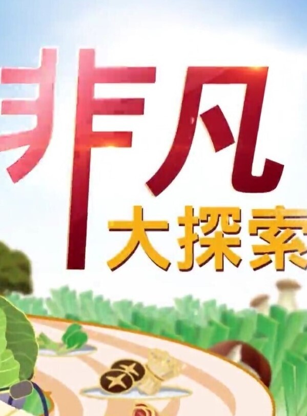 砂舞舞厅可以摸奶抠逼 - 深夜剧情海报